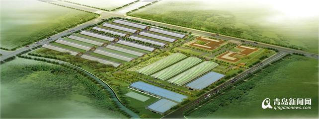 13個(gè)現(xiàn)代農(nóng)業(yè)項(xiàng)目落戶西海岸，總投資52億元